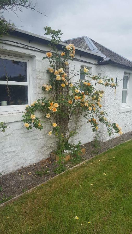Barcloy Honey House Βίλα Kirkcudbright Εξωτερικό φωτογραφία