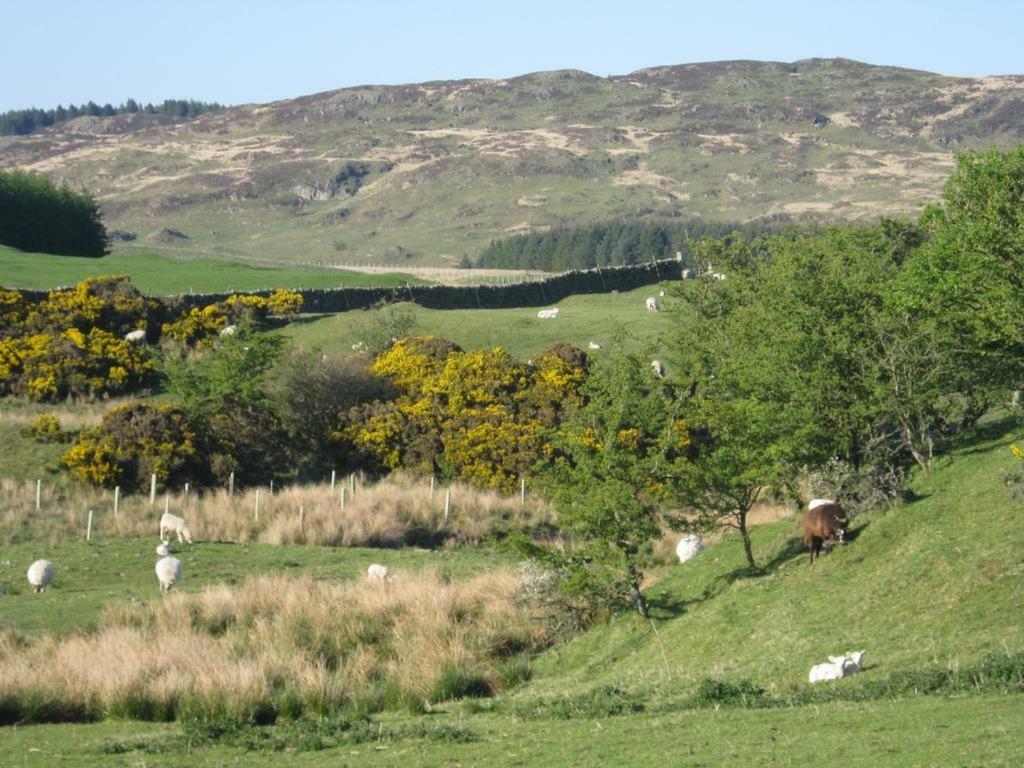 Barcloy Honey House Βίλα Kirkcudbright Εξωτερικό φωτογραφία